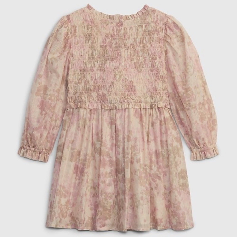 Baby GAP Toddler Smocked Metallic Dress 5T